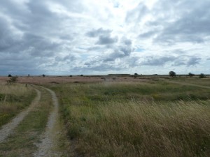 Langör